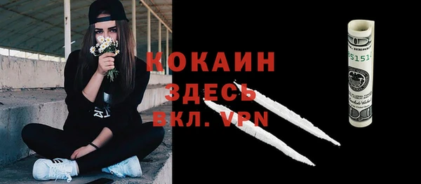 дурь Пестово