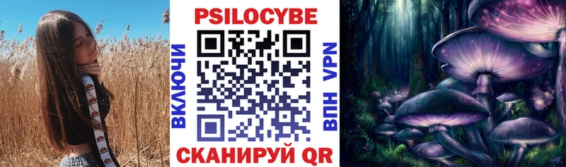 Псилоцибиновые грибы мухоморы  blacksprut   Петропавловск-Камчатский  наркотики 