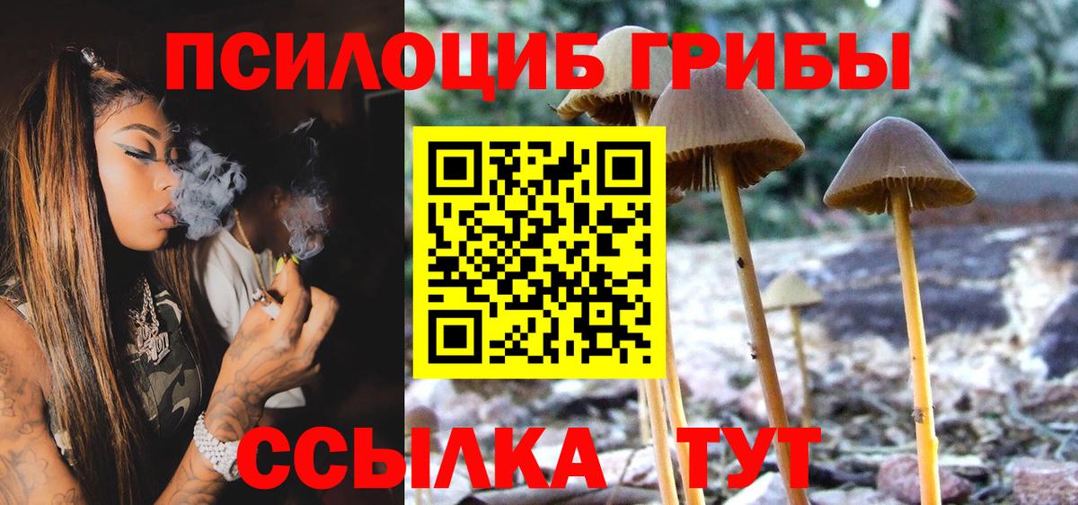 Галлюциногенные грибы MAGIC MUSHROOMS  Петропавловск-Камчатский 