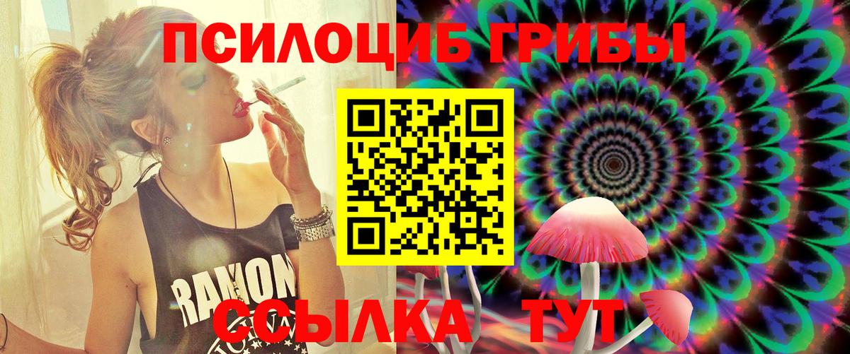Галлюциногенные грибы Psilocybine cubensis  Вход с VPN  Петропавловск-Камчатский  Галлюциногенные грибы Magic Shrooms 