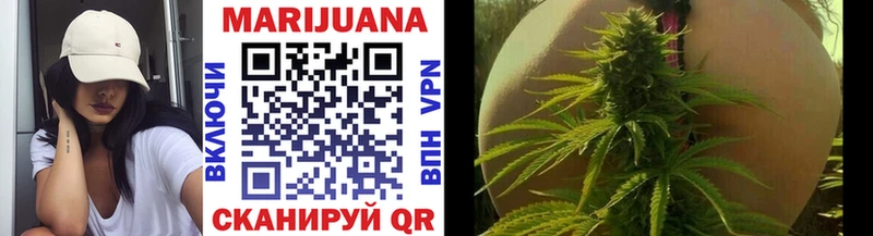 где купить   KRAKEN как зайти  Канабис THC 21%  Петропавловск-Камчатский 